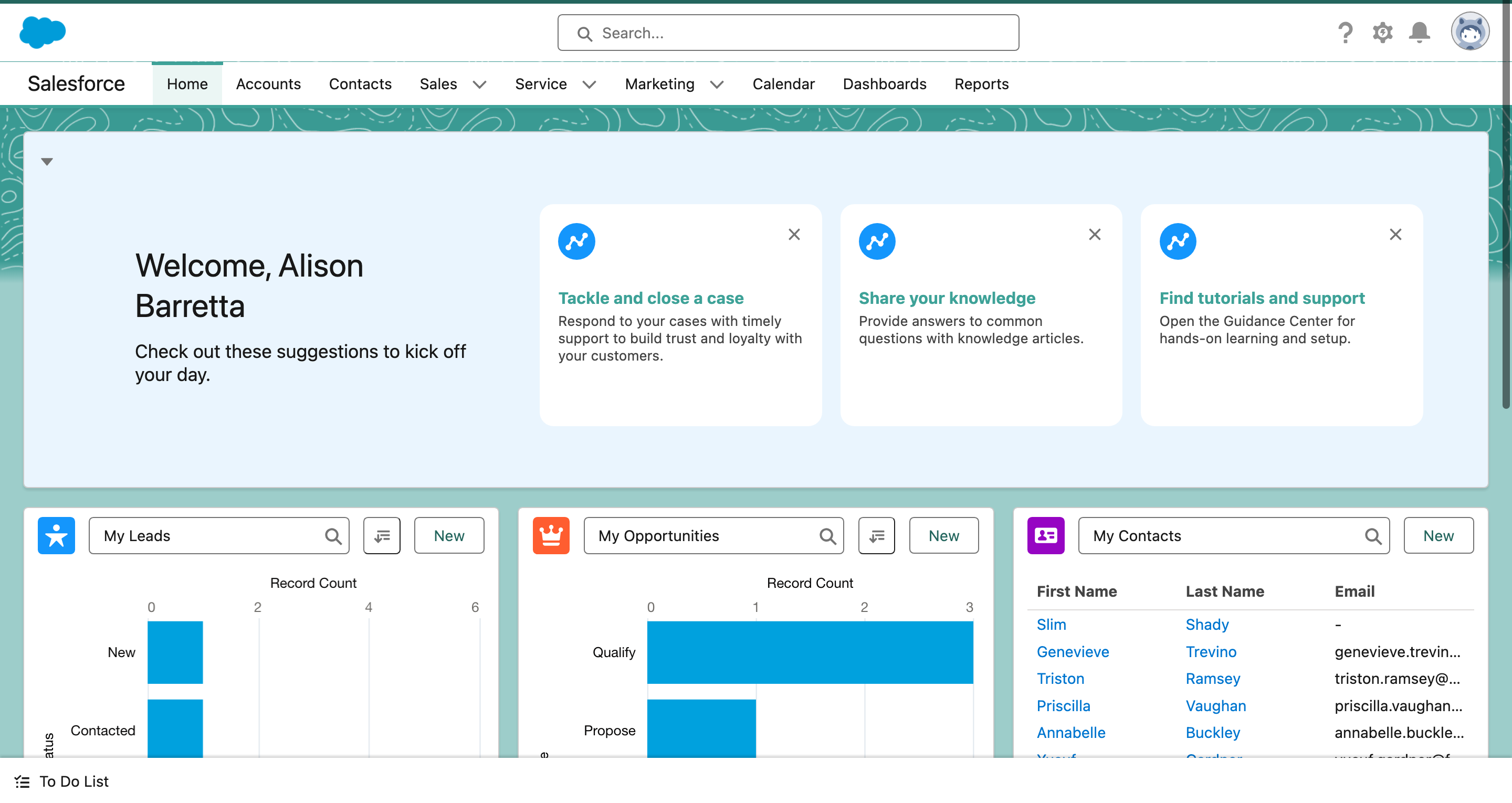 Salesforce Starter CRM Dashboard Interface