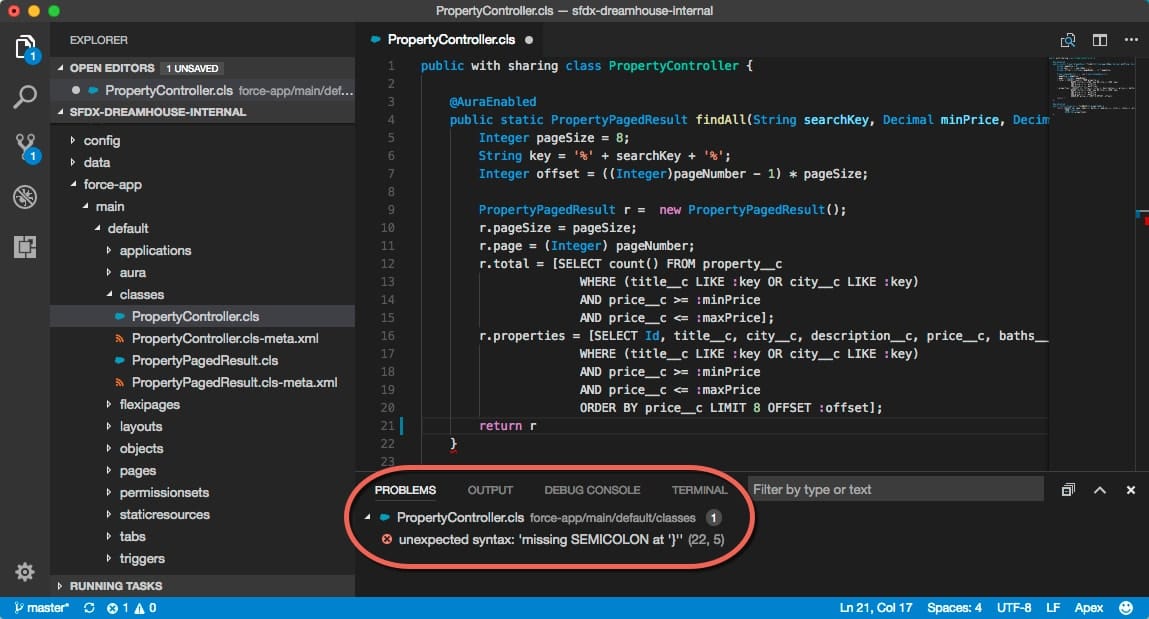 Salesforce Apex Code Development