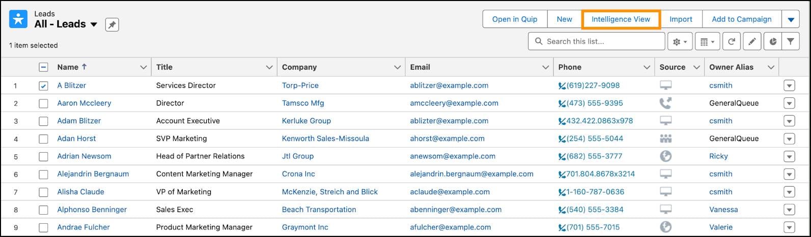 Salesforce Lead Management Pipeline
