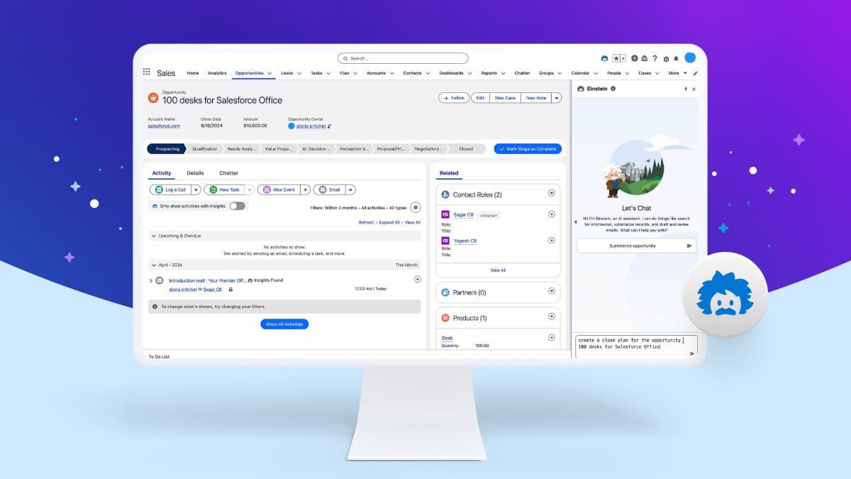 Salesforce Einstein AI Interface